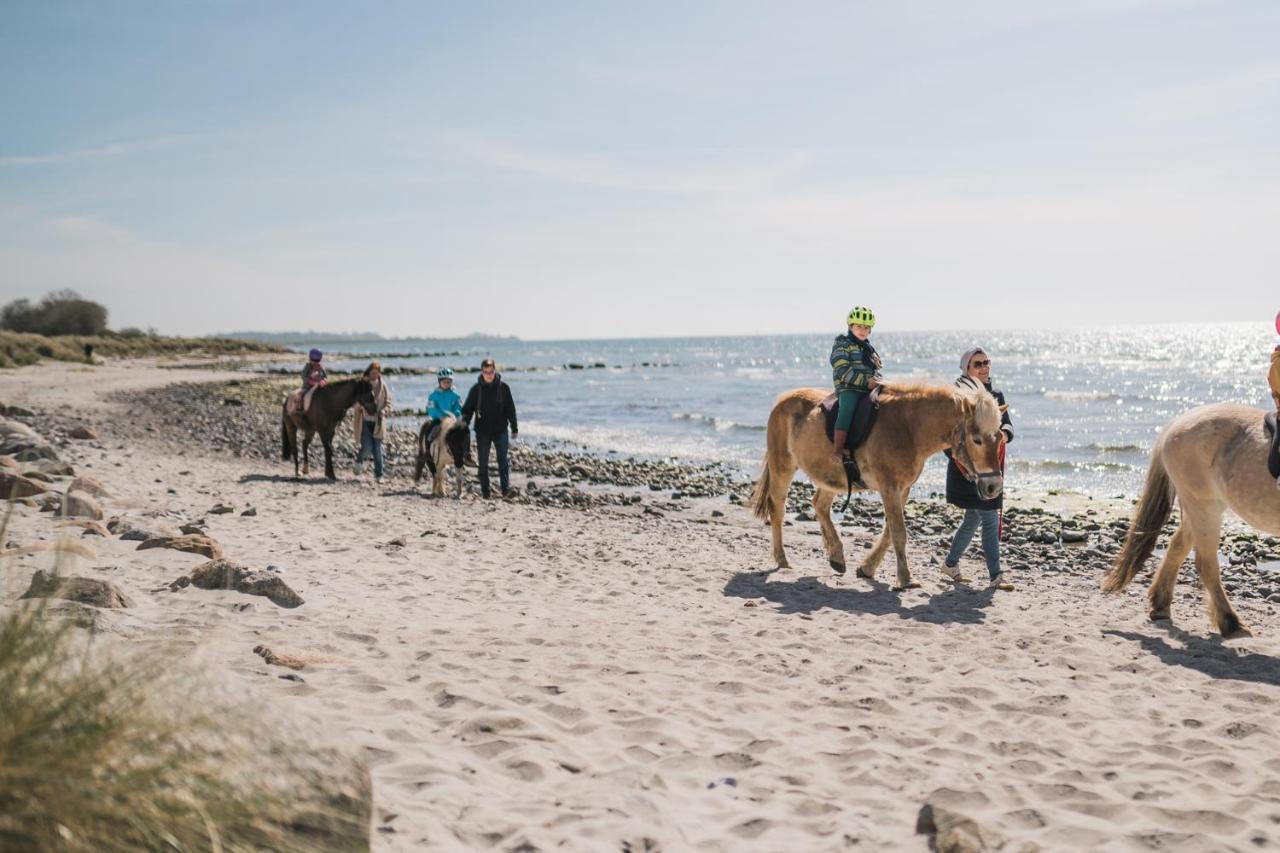 Buedlfarm - Der Familien-Erlebnishof In Strandnaehe Fehmarn Luaran gambar